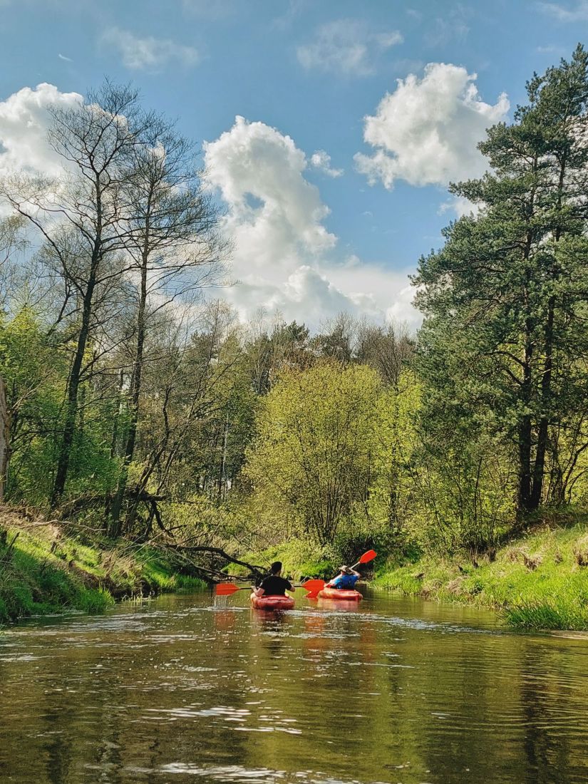 Kajaki Żyłka